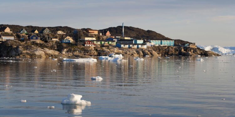 Essa habilidade do tubarão-da-Groenlândia vai te surpreender