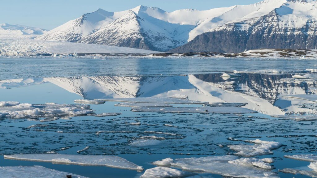 Essa habilidade do tubarão-da-Groenlândia vai te surpreender