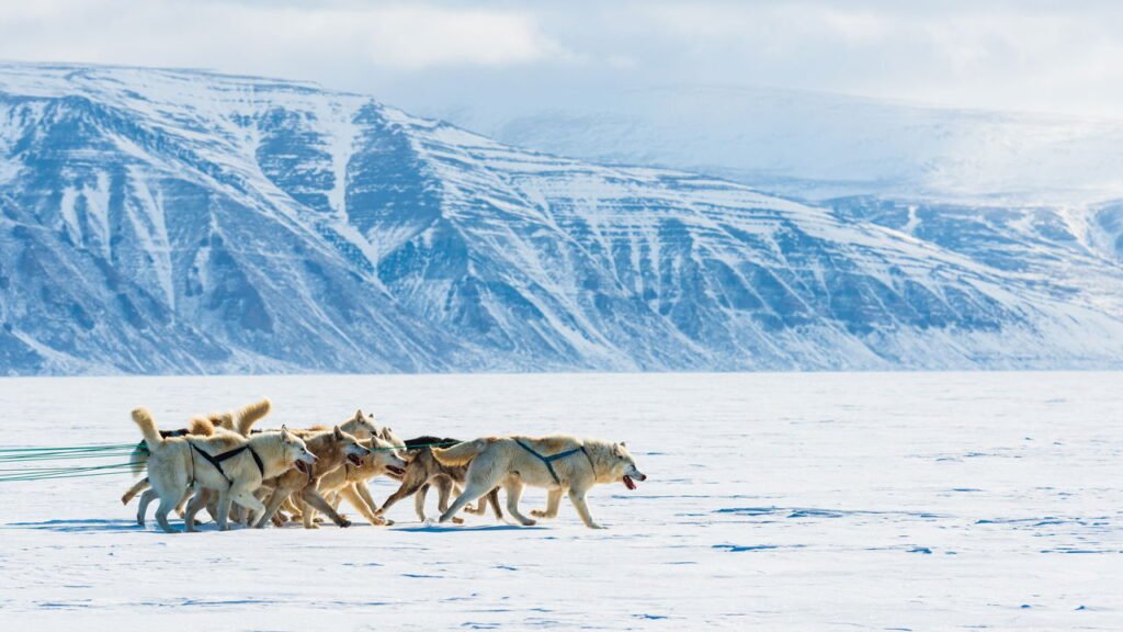 Cientistas alertam para uma grande consequência do aumento do nível do mar