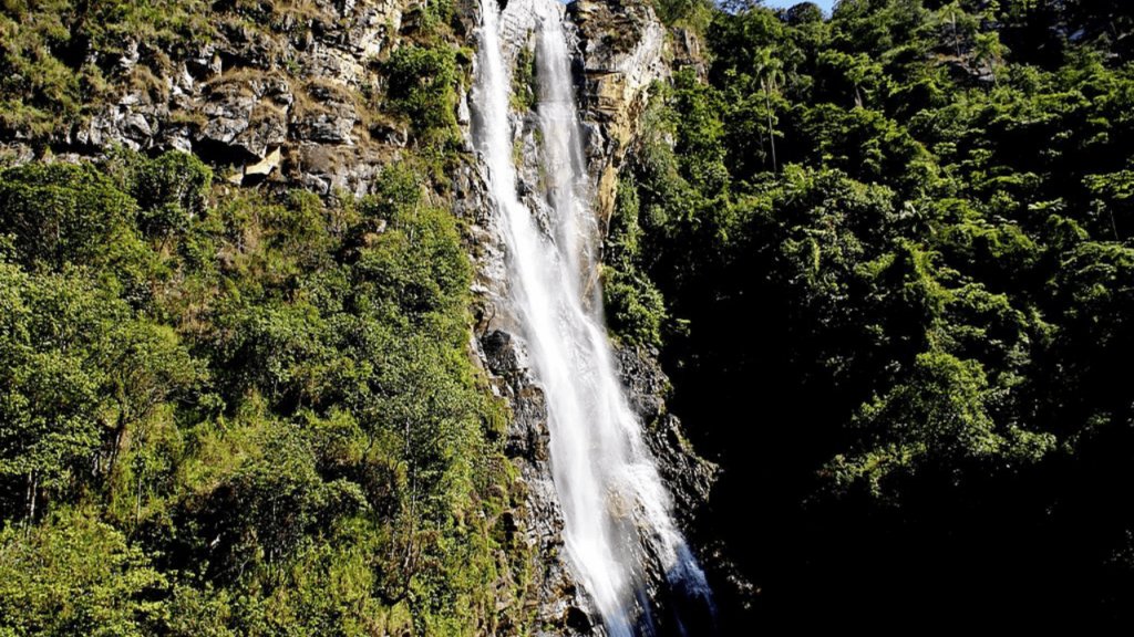 Essa cidade surpreende com cultura ativa, estrutura e identidade forte