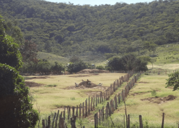 Essa cidade surpreende com economia rural, serviços completos e organização