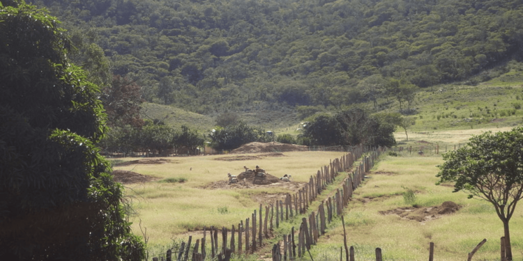 Essa cidade surpreende com economia rural, serviços completos e organização
