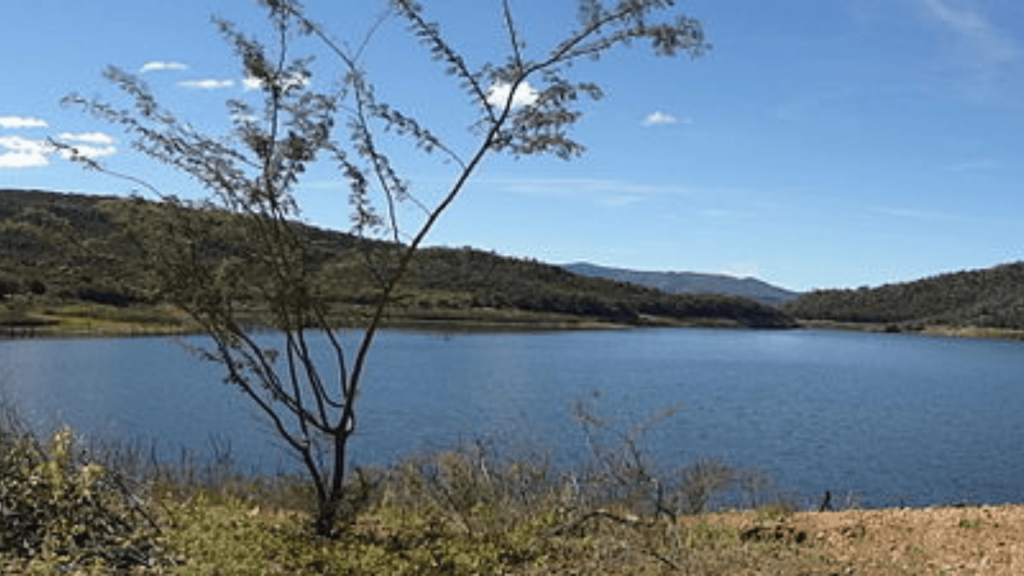 Essa cidade surpreende com economia rural, serviços completos e organização