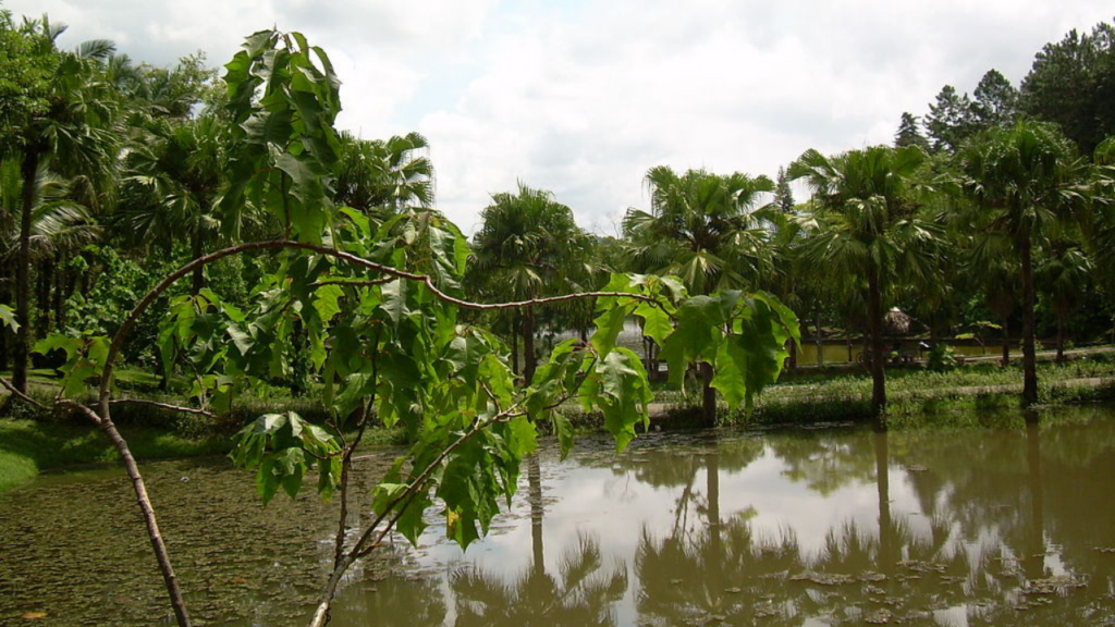 Essa cidade do Sul une tradição, indústria e qualidade de vida