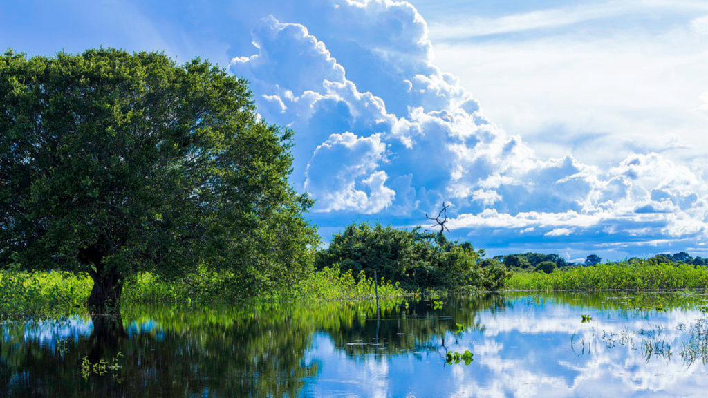 A cidade do interior que conquistou quem busca tranquilidade e estrutura