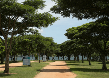 Essa cidade do Espírito Santo une agroindústria, logística e qualidade de vida