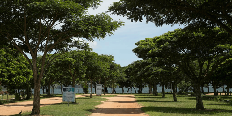 Essa cidade do Espírito Santo une agroindústria, logística e qualidade de vida