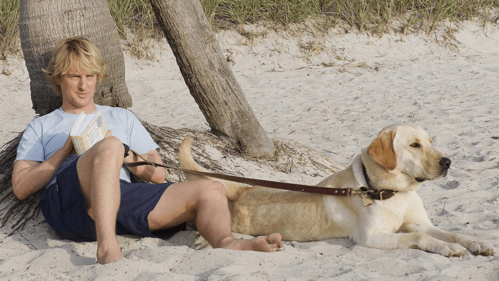 Esse filme vai fazer você rir e chorar com um cachorro só