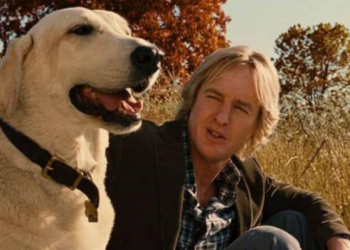 Esse filme vai fazer você rir e chorar com um cachorro só