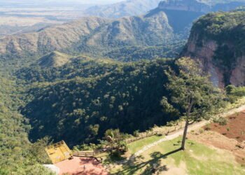 Esse município do centro-oeste virou referência em qualidade de vida e arborização
