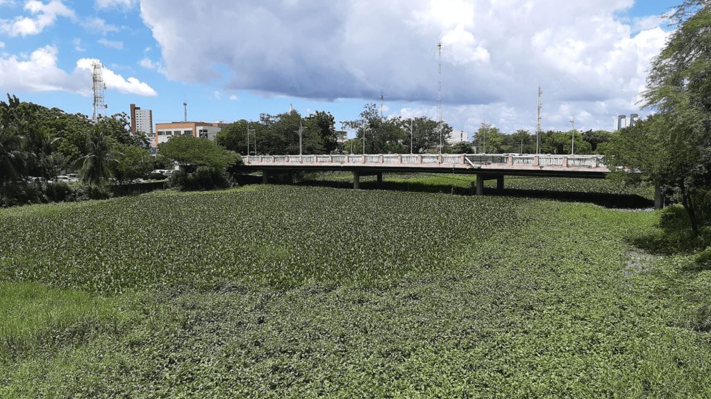 Descubra uma cidade que vai muito além do que se imagina