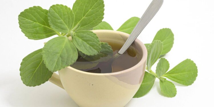 A planta medicinal que limpa o organismo e cresce fácil na sua horta