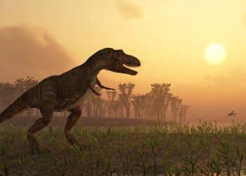 Cientistas apontam possível origem do dinossauro T. Rex, veja novidade
