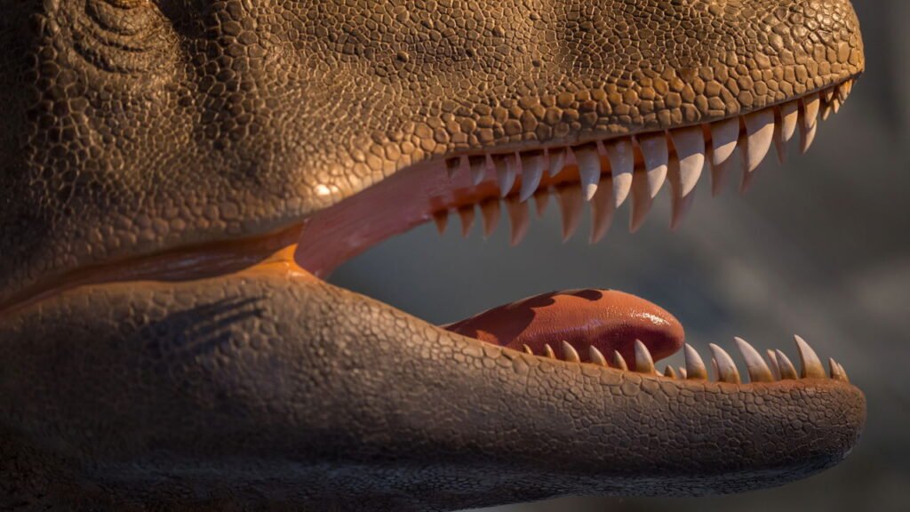 Cientistas apontam possível origem do dinossauro T. Rex, veja novidade