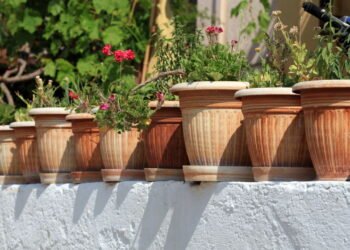 Plástico, cerâmica ou cimento? Veja qual vaso escolher para plantar