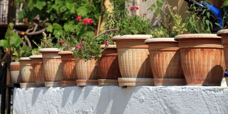 Plástico, cerâmica ou cimento? Veja qual vaso escolher para plantar