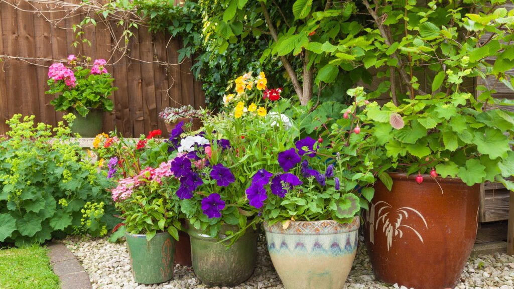 Plástico, cerâmica ou cimento? Veja qual vaso escolher para plantar