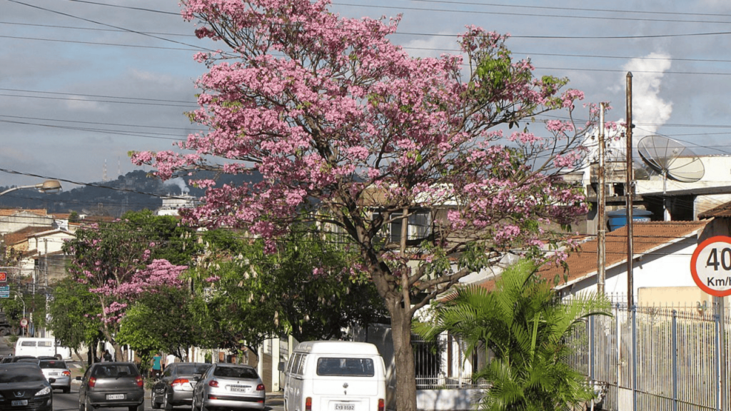 Essa cidade fluminense une tradição industrial, educação e estrutura urbana
