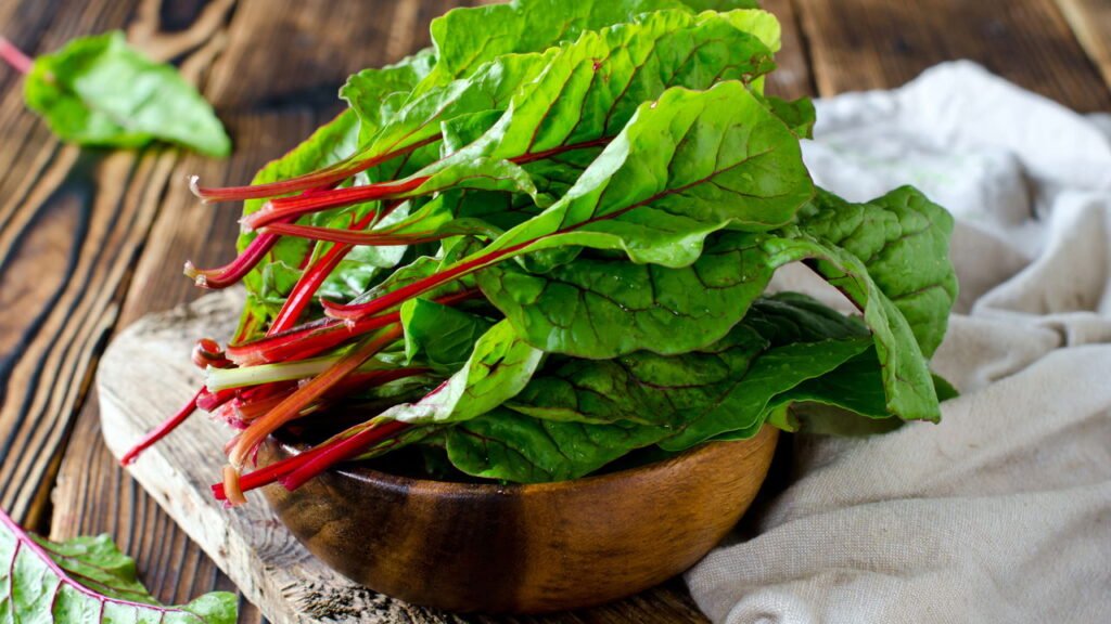 Aprenda quais verduras são ideais para ter na sua horta doméstica