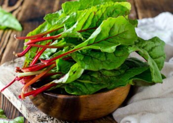 Aprenda quais verduras são ideais para ter na sua horta doméstica