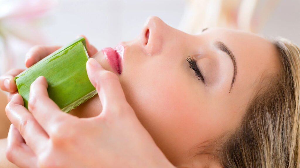 A planta antienvelhecimento que salva sua pele fácil de plantar em casa