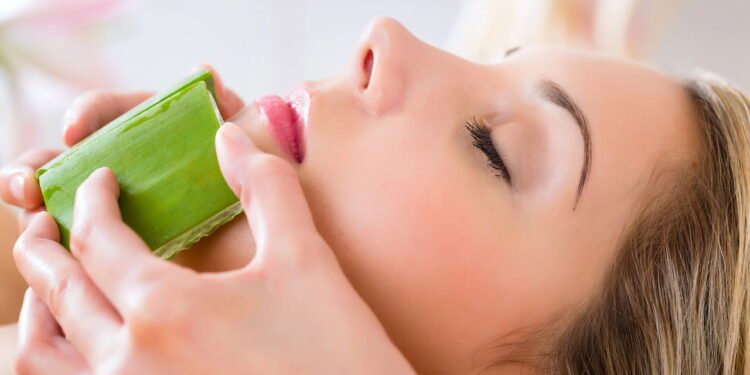 A planta antienvelhecimento que salva sua pele fácil de plantar em casa