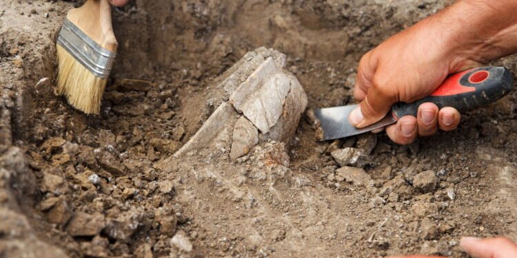 Cientistas encontram pegadas com data de 40 milhões de anos antes da humanidade