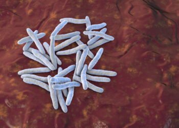 Bactéria espacial inédita pode revolucionar a medicina