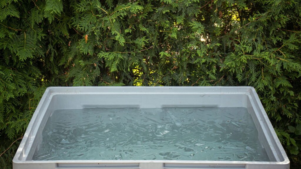 Nova pesquisa pode mudar tudo o que se sabe sobre chuveiro frio