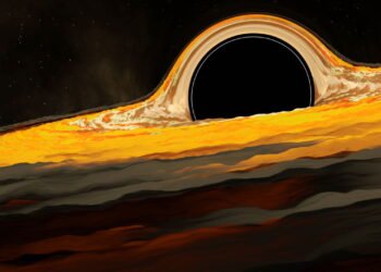 Buracos negros podem existir sem singularidades?