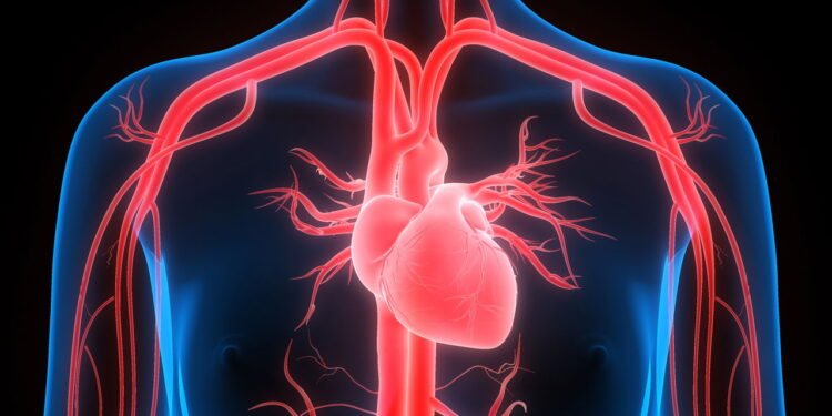 A fruta que ajuda a reduzir o colesterol e cuida da saúde do coração