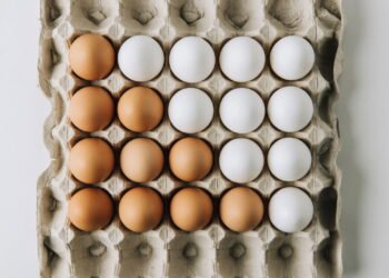 Você está cometendo um erro se joga a cartela de ovo fora