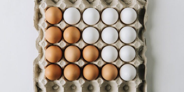 Você está cometendo um erro se joga a cartela de ovo fora