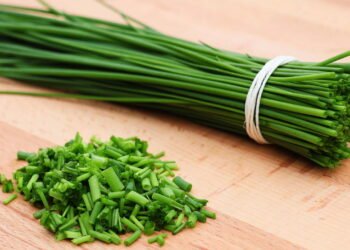 Como cultivar planta que regula a pressão arterial e fortalece a memória em casa?