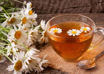 Conheça os incríveis benefícios do Chá de Camomila para a saúde