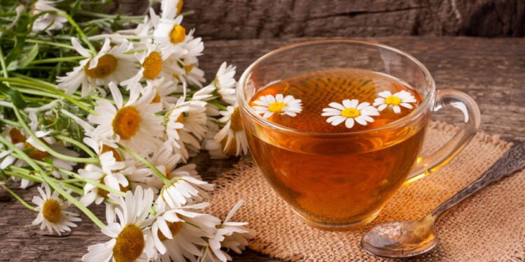 Chá de camomila: Benefícios surpreendentes para sua saúde - Créditos: depositphotos.com / kolesnikovserg