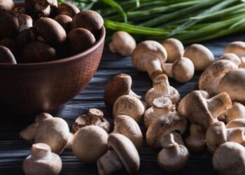 Veja como cultivar cogumelos em casa sem usar terra e sem fazer sujeira