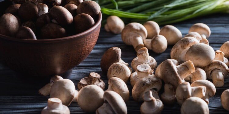 Veja como cultivar cogumelos em casa sem usar terra e sem fazer sujeira