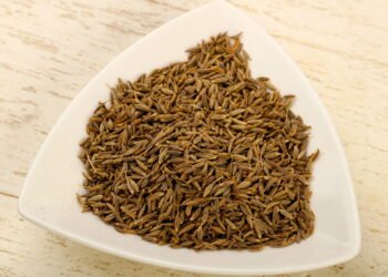 Conheça os benefícios surpreendentes do cominho e como plantar em casa