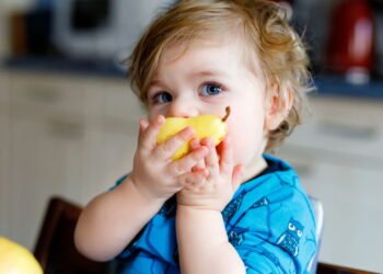 Aprenda a plantar frutas saudáveis e nutritivas para bebês em casa