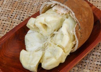 Por que o Cupuaçu é o superalimento da Amazônia?