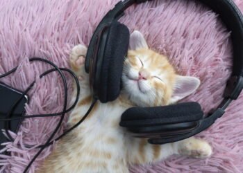 Como o tipo de música que você ouve pode influenciar na sua vida, segundo a ciência