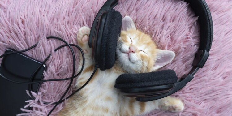 Como o tipo de música que você ouve pode influenciar na sua vida, segundo a ciência