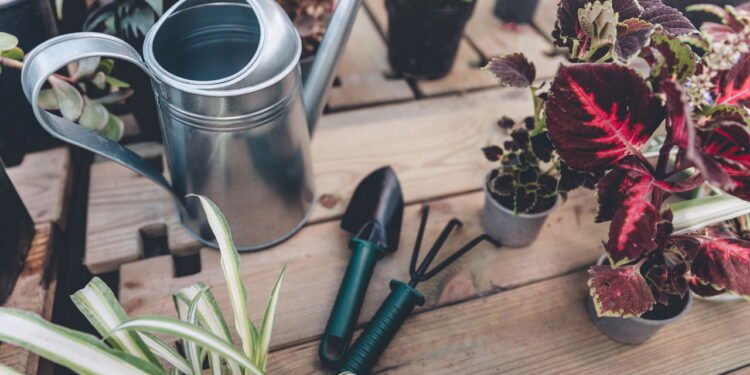 Conheça as ferramentas essenciais para cuidar da sua horta em casa