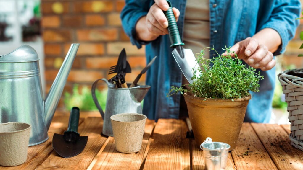 Conheça as ferramentas essenciais para cuidar da sua horta em casa