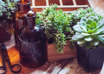 Esse é o jeito certo de cuidar de flores frescas em casa sem erro