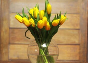 Dica prática de como reaproveitar flores murchas em casa