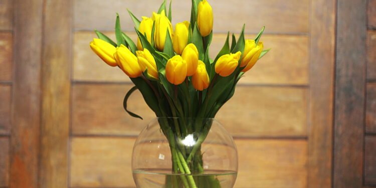 Dica prática de como reaproveitar flores murchas em casa