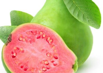 Chá milagroso, conheça os beneficios da Folha de Goiaba e aprenda a preparar