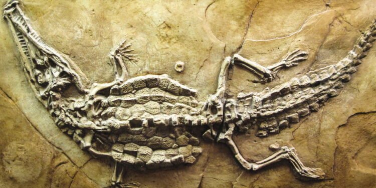 Cientistas apontam que os dinossauros já chegaram a voar